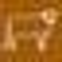 Claudius Wurth Agrarberatung