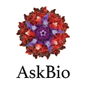 AskBio Asklepios BioPharmaceutical, Inc.