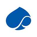 Capgemini Technology Services