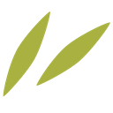 GRÜNSPECHT Naturprodukte GmbH