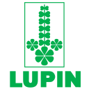 Lupin