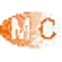 M2. technology & project consulting GmbH